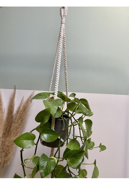 Suspension Tresse            3 Couleurs